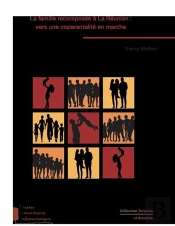 La Famille Recomposee A La Reunion : Vers Une Coparentalite En Marche
