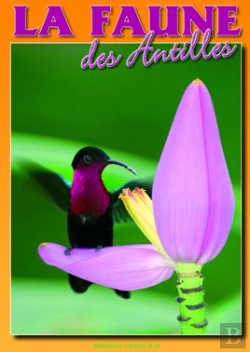 Bertrand.pt - La Faune Des Antilles