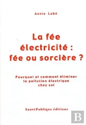 La Fée Électricité : Fée Ou Sorcière ? Pourquoi Et Comment Éliminer La Pollution Électrique Chez Soi