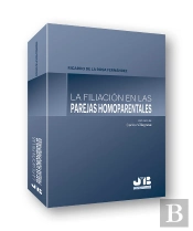 La Filiación En Las Parejas Homoparentales