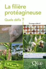 La Filière Protéagineuse ; Quels Défis ?