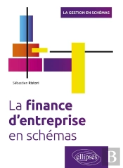 La Finance D'Entreprise En Schémas