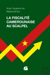 La Fiscalité Camerounaise Au Scalpel