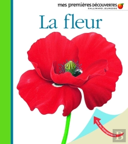 Bertrand.pt - La Fleur