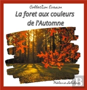 La Forêt Aux Couleurs De L'Automne