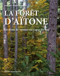 Bertrand.pt - La Forêt D'Aïtone ; Un Dôme De Verdure En Corse Du Sud