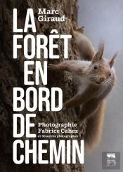 La Forêt En Bord De Chemin