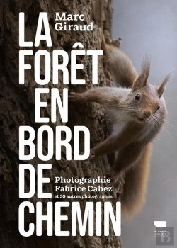 Bertrand.pt - La Forêt En Bord De Chemin
