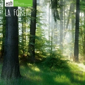 La Forêt