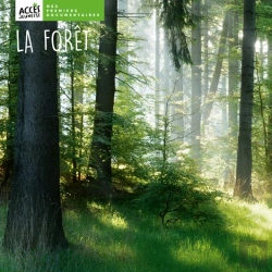 Bertrand.pt - La Forêt