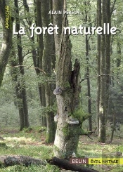 La Forêt Naturelle
