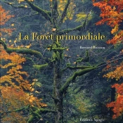 La Forêt Primordiale