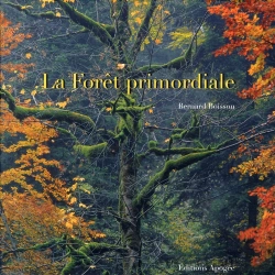 Bertrand.pt - La Forêt Primordiale