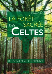 La Forêt Sacrée Des Celtes : Du Paganisme Au Christianisme