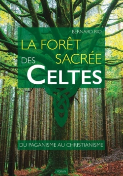 Bertrand.pt - La Forêt Sacrée Des Celtes : Du Paganisme Au Christianisme