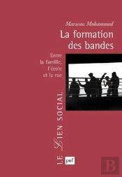 La Formation Des Bandes ; Entre La Famille, L'École Et La Rue