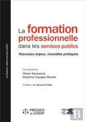 La Formation Professionnelle Dans Les Services Publics - Nouveaux Enjeux, Nouvelles Pratiques