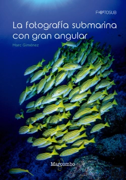 Bertrand.pt - La Fotografía Submarina Con Gran Angular