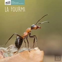 Bertrand.pt - La Fourmi