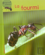 La Fourmi