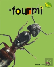 La Fourmi