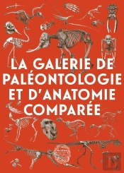 La Galerie De Paléontologie Et D'Anatomie Comparée
