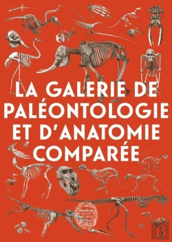 Bertrand.pt - La Galerie De Paléontologie Et D'Anatomie Comparée
