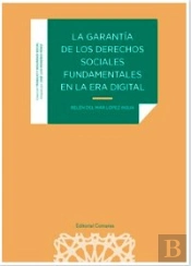 La Garantia De Los Derechos Sociales Fundamentales En La Er