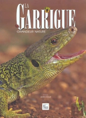 La Garrigue ; Grandeur Nature
