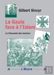 La Gaule Face À L'Islam : La Chaussée Des Martyrs