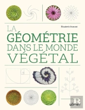 La Géometrie Dans Le Monde Végétal