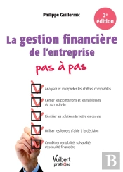 La Gestion Financière De L'Entreprise (2e Édition)