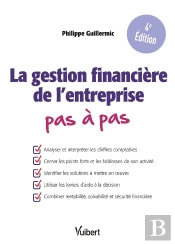 La Gestion Financière De L'Entreprise Pas À Pas : Comprendre Le Bilan Et Le Compte De Résultat