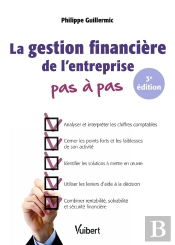 La Gestion Financière De L'Entreprise Pas À Pas