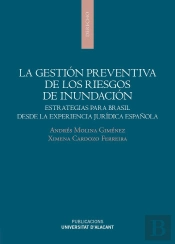 La Gestion Preventiva De Los Riesgos De Inudacion