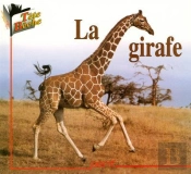La Girafe