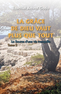 Bertrand.pt - La Grâce De Dieu Vaut Plus Que Tout - Tome 2 : La Source D'Une Vie Tranquille