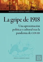La Gripe De 1918 Una Aproximacion Politica Y Cultural Tras