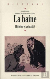 La Haine ; Histoire Et Actualité