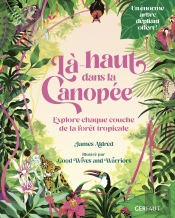 Là-Haut Dans La Canopée : Explore Chaque Couche De La Forêt Tropicale