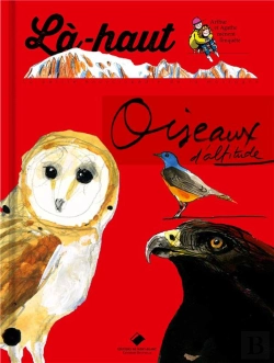 Bertrand.pt - Là-Haut, Oiseaux D'Altitude
