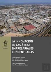 La Innovación En Las Áreas Empresariales Concentradas