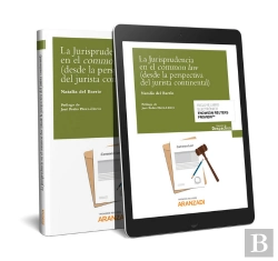 Bertrand.pt - La Jurisprudencia En El Common Law (Desde La Perspectiva Del Jurista Continental) (Papel + E-Book)