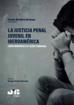 Bertrand.pt - La Justicia Penal Juvenil En Iberoamérica