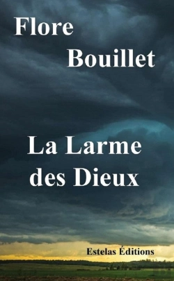 Bertrand.pt - La Larme Des Dieux