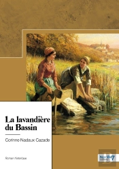 La Lavandière Du Bassin