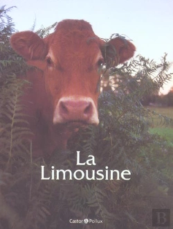 Bertrand.pt - La Limousine