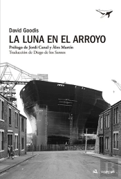 La Luna En El Arroyo