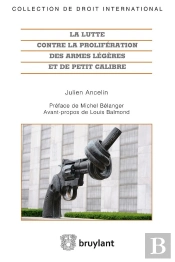 La Lutte Contre La Prolifération Des Armes Légères Et De Petit Calibre
