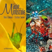 La Magie Du Minuscule
